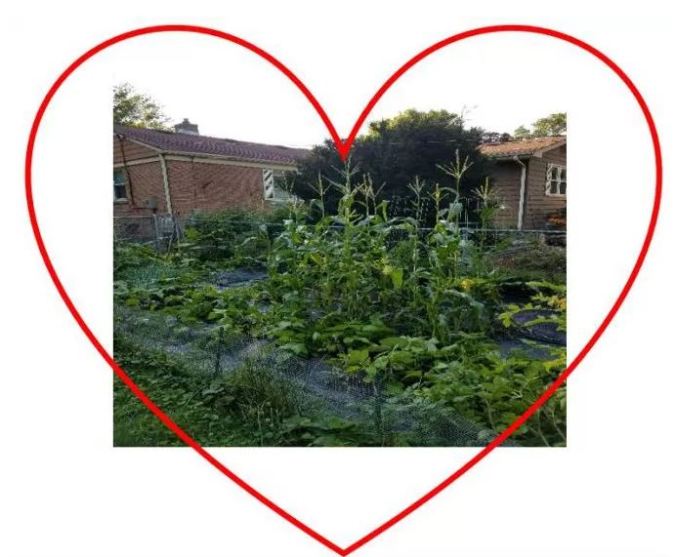 Garden in Heart